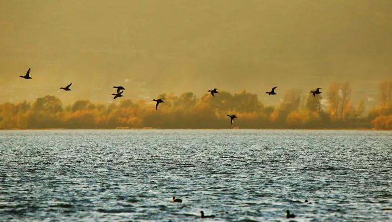 剑湖的秋 （和太宝 摄）