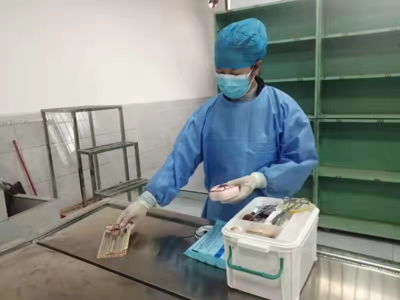 白艳：只要肯付出 就会有收获3.jpg