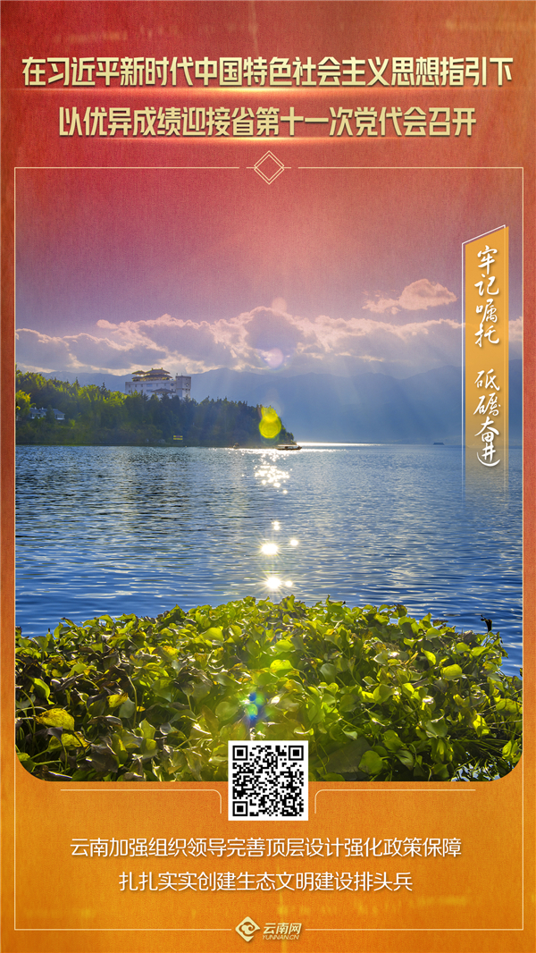 云南网.jpg