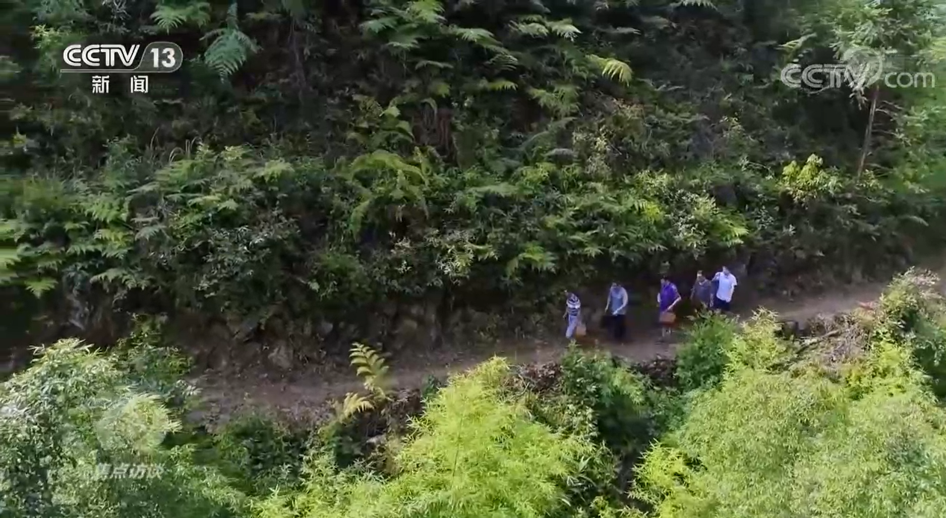 焦点访谈：领航 百年征程 永葆初心