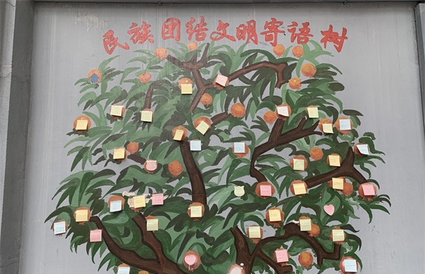 云南省青年联合会召开学习贯彻党的十九届六中全会精神座谈会（开屏新闻记者 张田睿 摄）