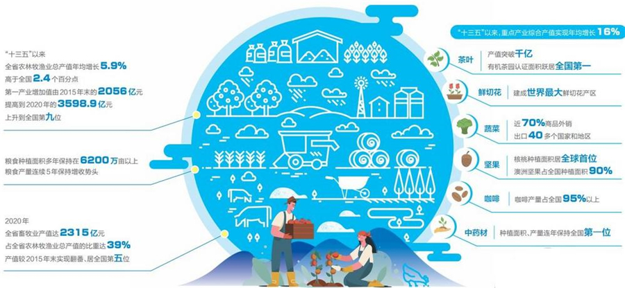 【牢记嘱托 砥砺奋进】深化供给侧结构性改革 提升品质打造品牌 云南省持续推进高原特色现代农业建设