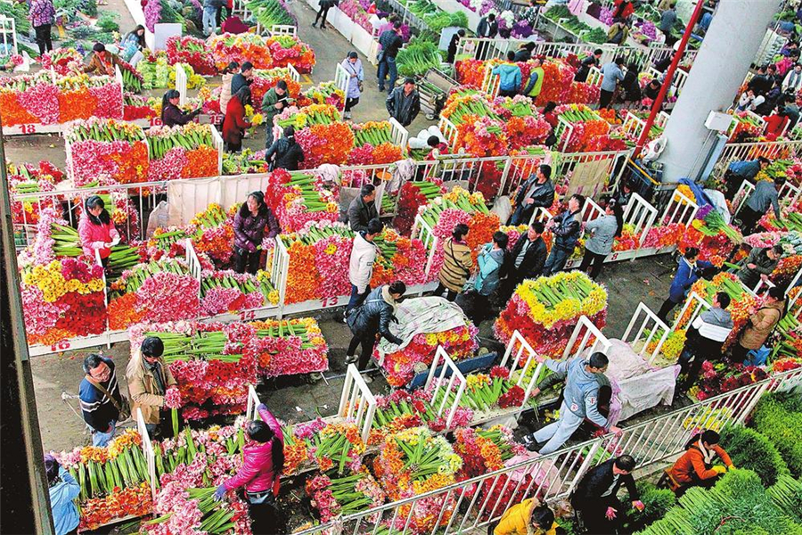 【牢记嘱托 砥砺奋进】深化供给侧结构性改革 提升品质打造品牌 云南省持续推进高原特色现代农业建设