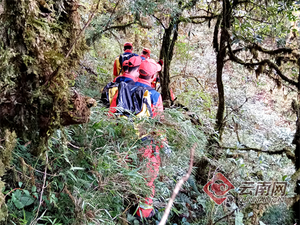 国家山岳救援昆明大队抵达哀牢山重点区域