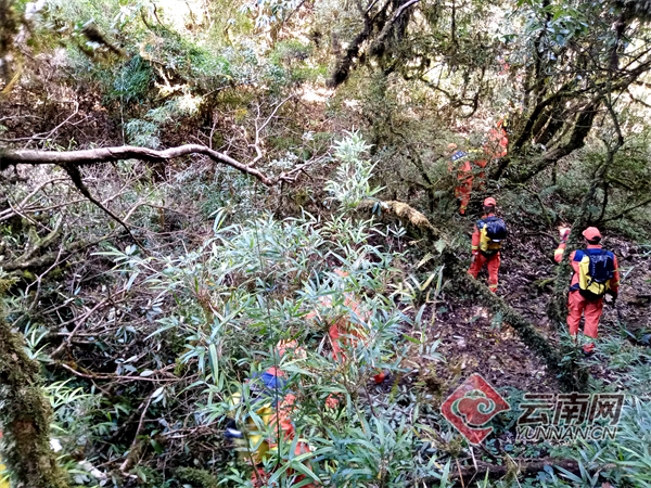 国家山岳救援昆明大队抵达哀牢山重点区域