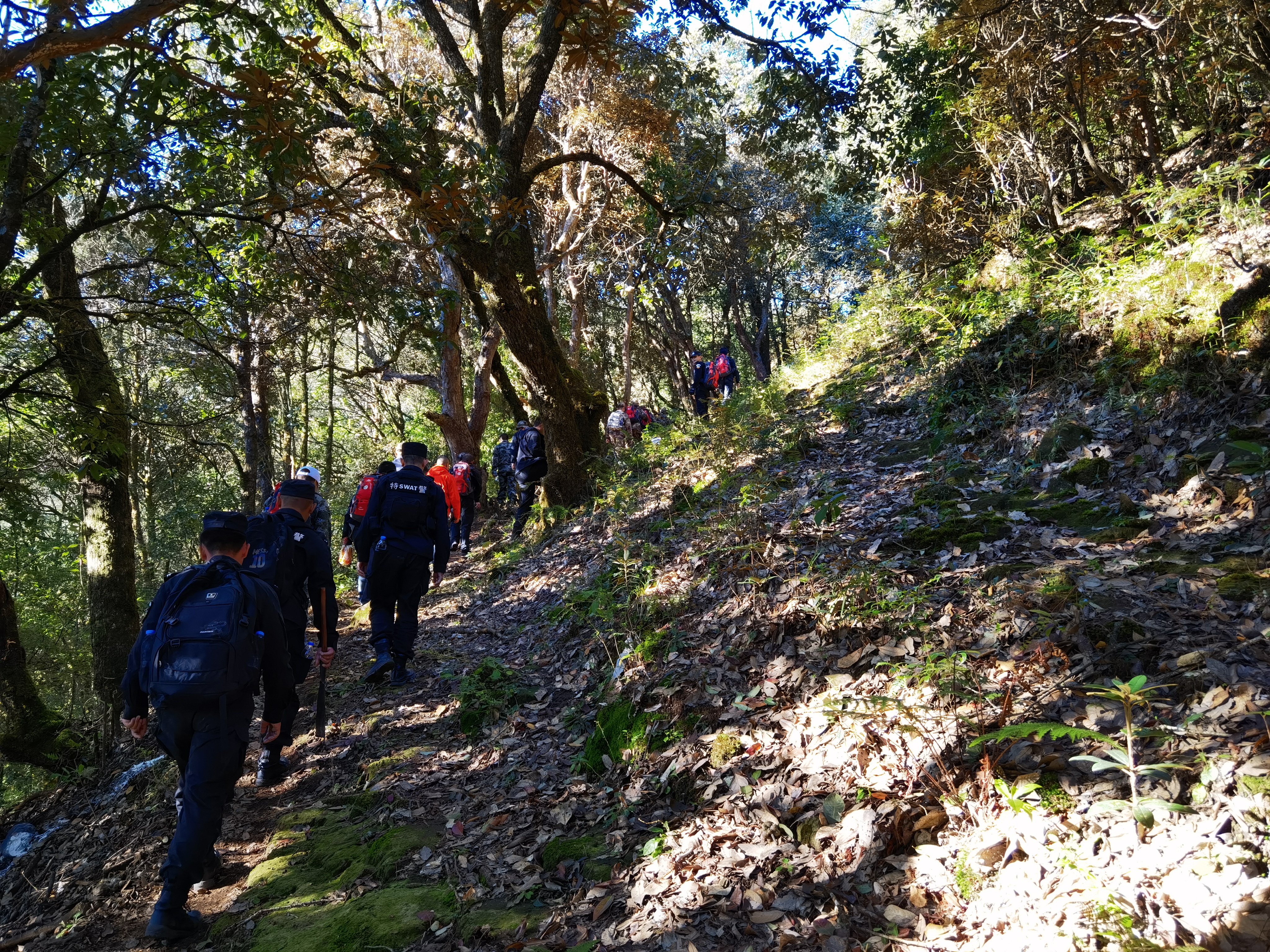 哀牢山紧急营救