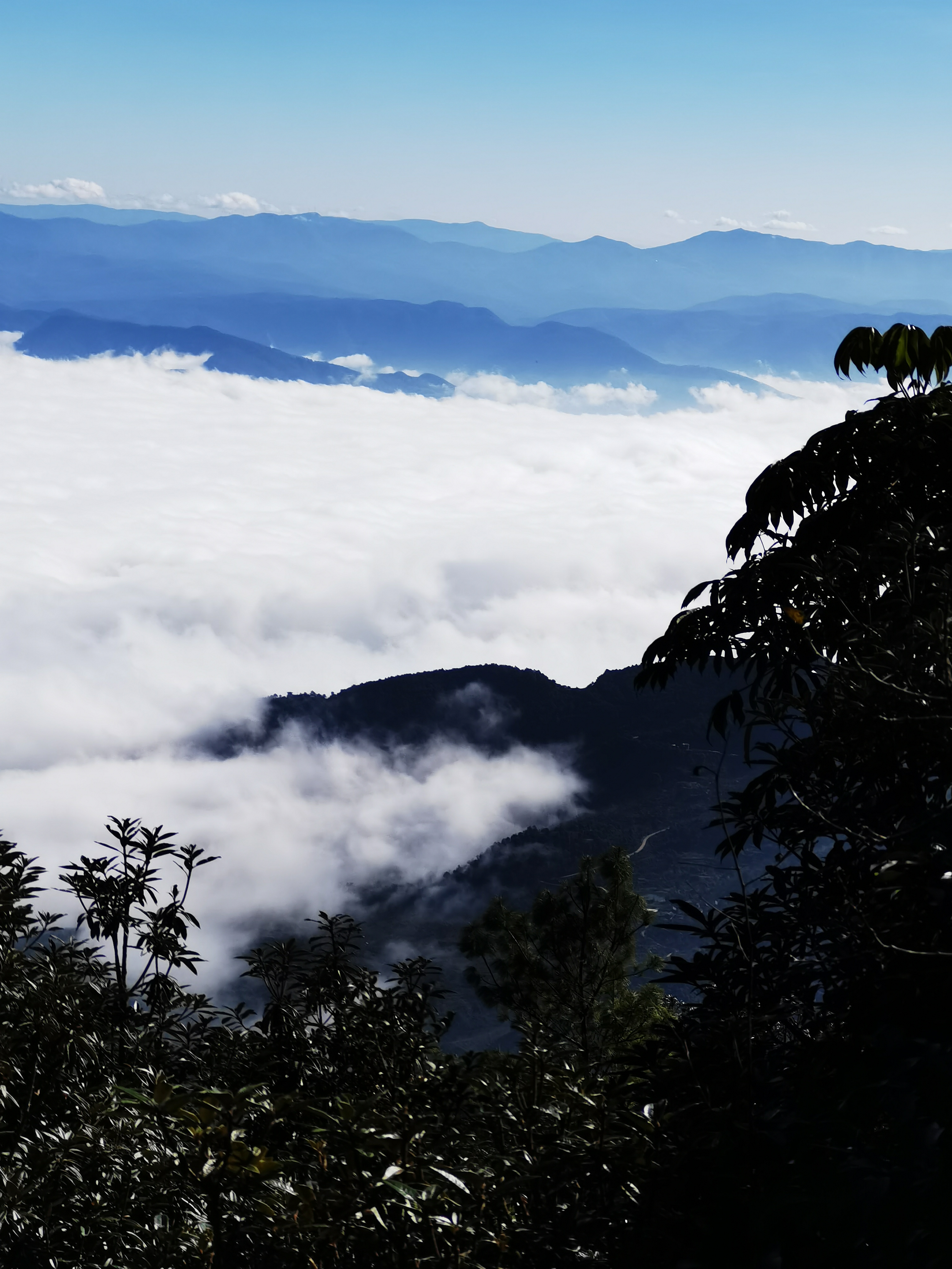 哀牢山紧急营救