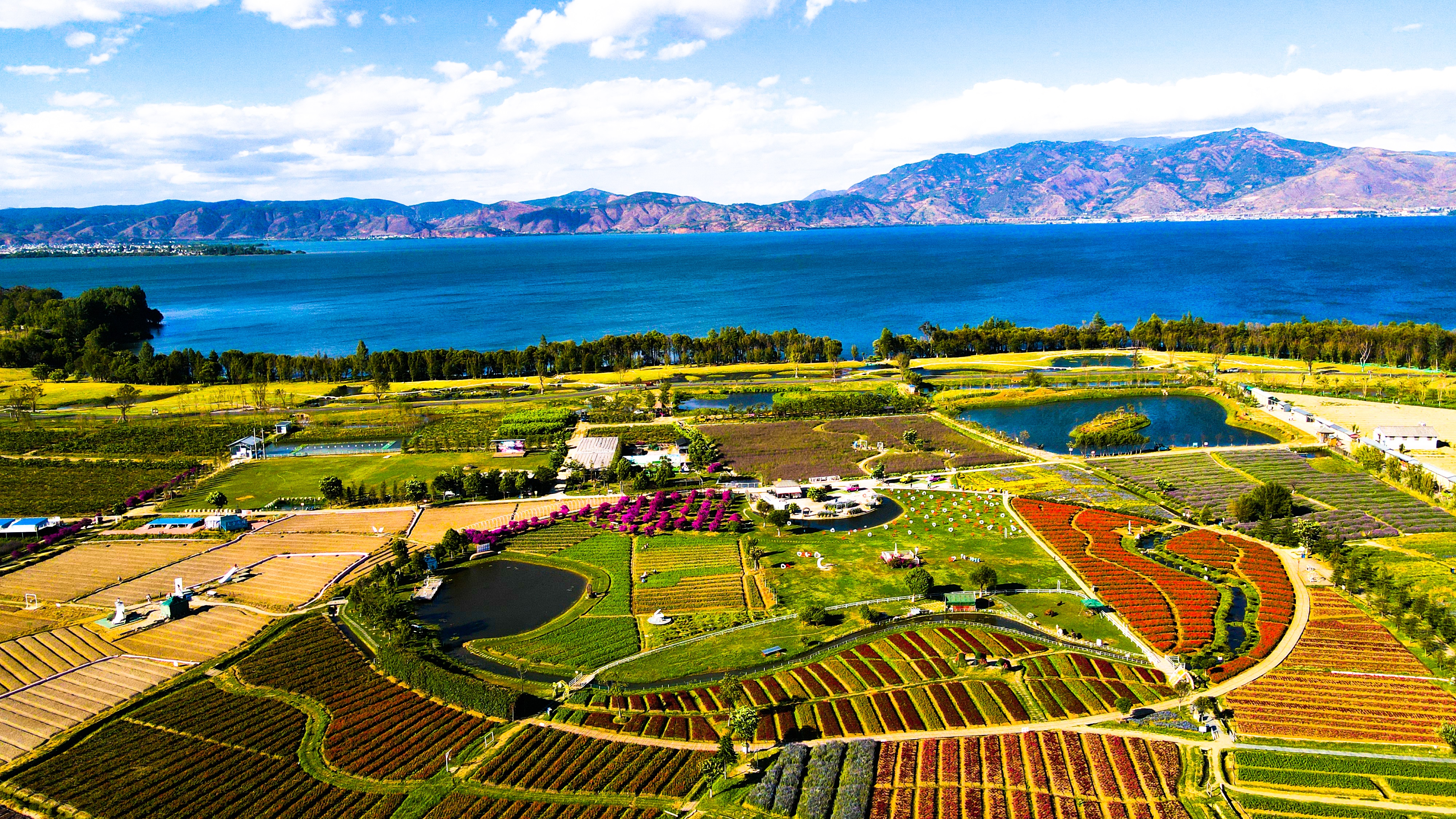 数字正成为推动云南高质量发展的“密码”