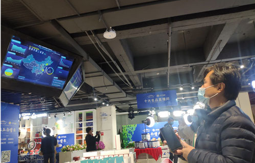 坚持发展为先 推动高质量发展.png