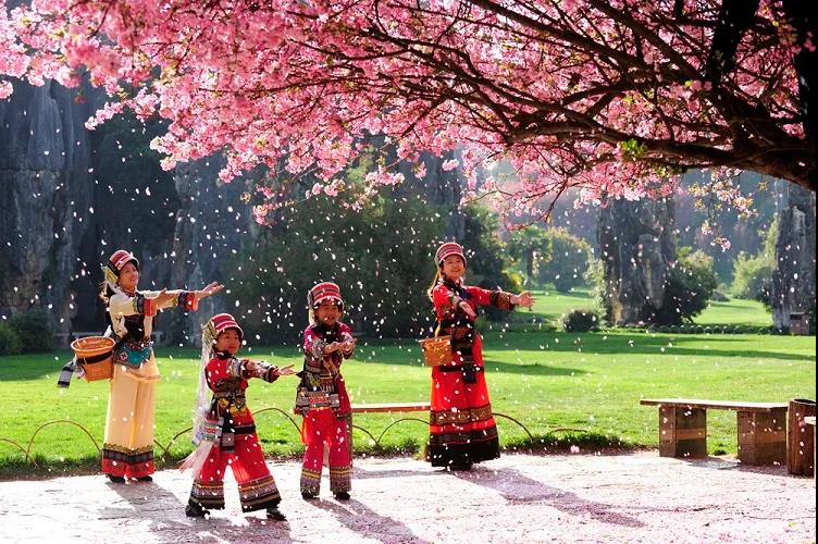 【建党百年·口述云南】历经17年,这个经过2亿多年演化的地方终于申遗成功!