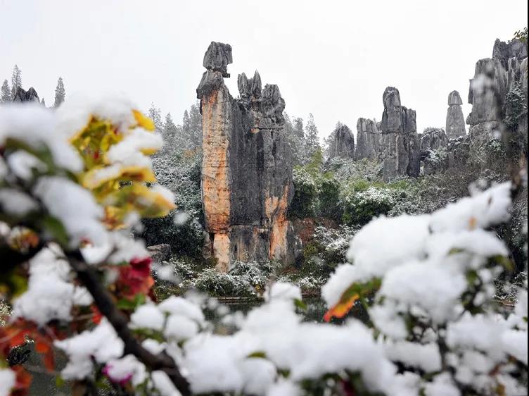 【建党百年·口述云南】历经17年,这个经过2亿多年演化的地方终于申遗成功!