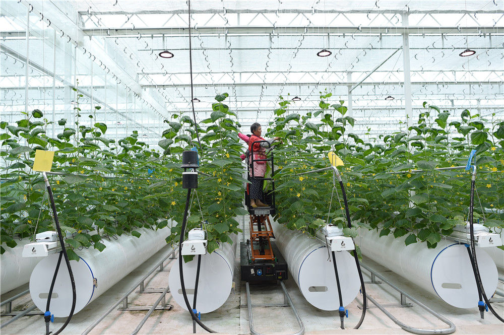 各地学习贯彻六中全会精神持续保障改善民生观察
