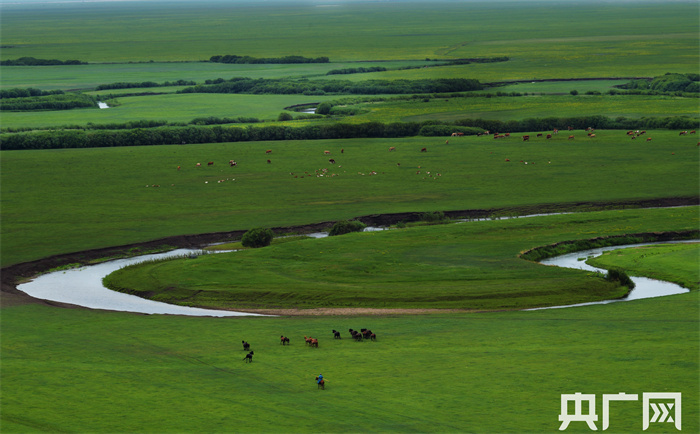 【开局十四五】内蒙古:勇扛生态发展大旗,创新机开新局
