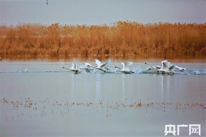 【开局十四五】内蒙古:勇扛生态发展大旗,创新机开新局