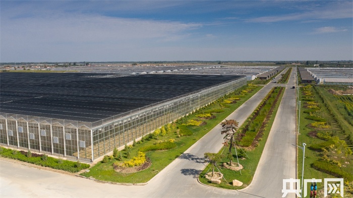 【开局十四五】内蒙古:勇扛生态发展大旗,创新机开新局