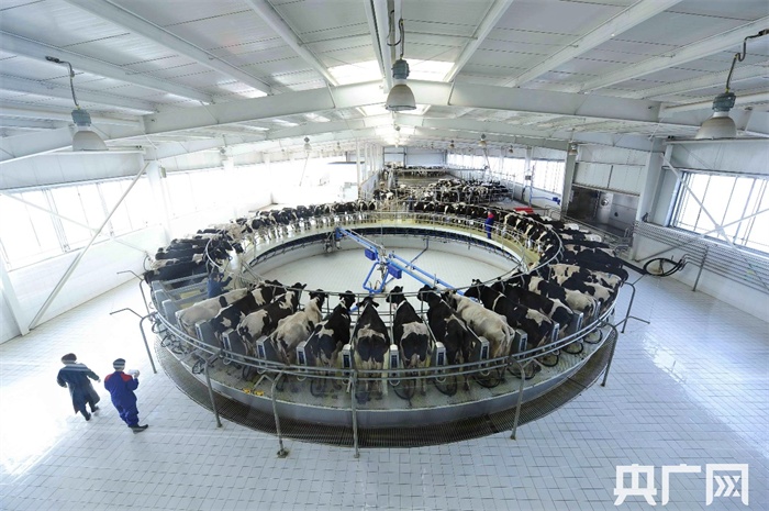 【开局十四五】内蒙古:勇扛生态发展大旗,创新机开新局