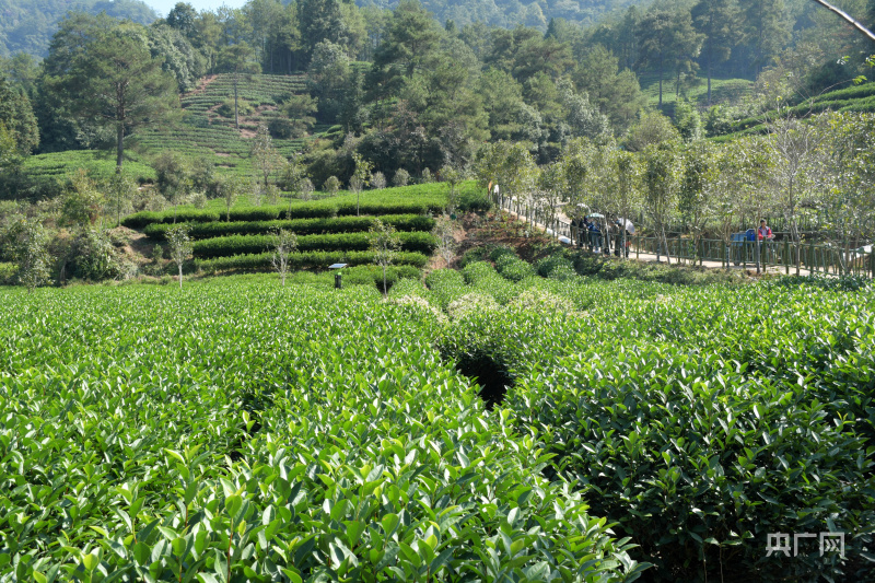 【开局十四五】福建:追梦数字中国星辰大海 向海图强这边风景独好