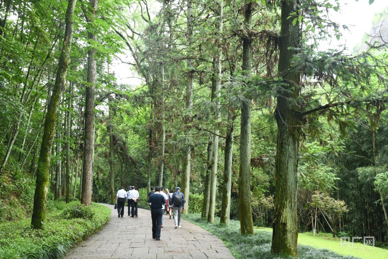 【开局十四五】福建:追梦数字中国星辰大海 向海图强这边风景独好
