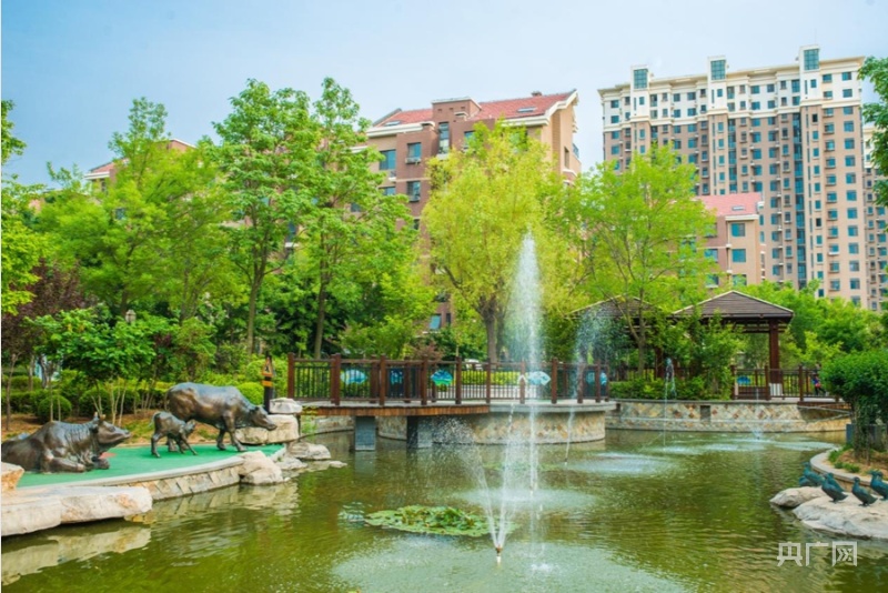 【开局十四五】山东：为鸟儿让路绘就黄河新画卷 “四新”经济赋能齐鲁“蝶变”