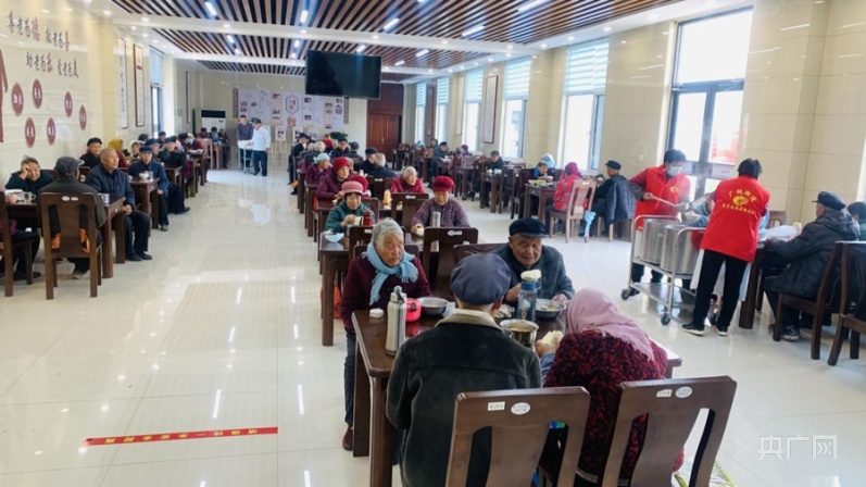 【开局十四五】山东：为鸟儿让路绘就黄河新画卷 “四新”经济赋能齐鲁“蝶变”