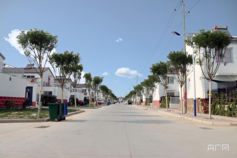 【开局十四五】山东：为鸟儿让路绘就黄河新画卷 “四新”经济赋能齐鲁“蝶变”