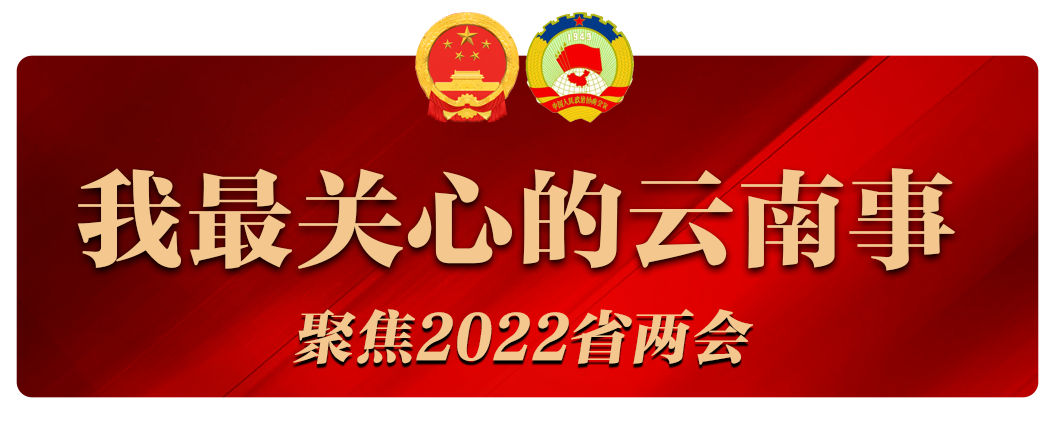 我最关心的云南事logo（定）.png