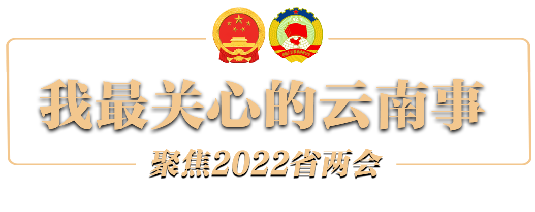 我最关心的云南事1.png