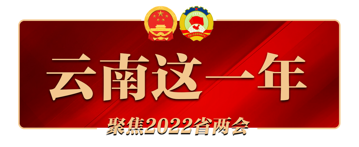 2022云南两会LOGO
