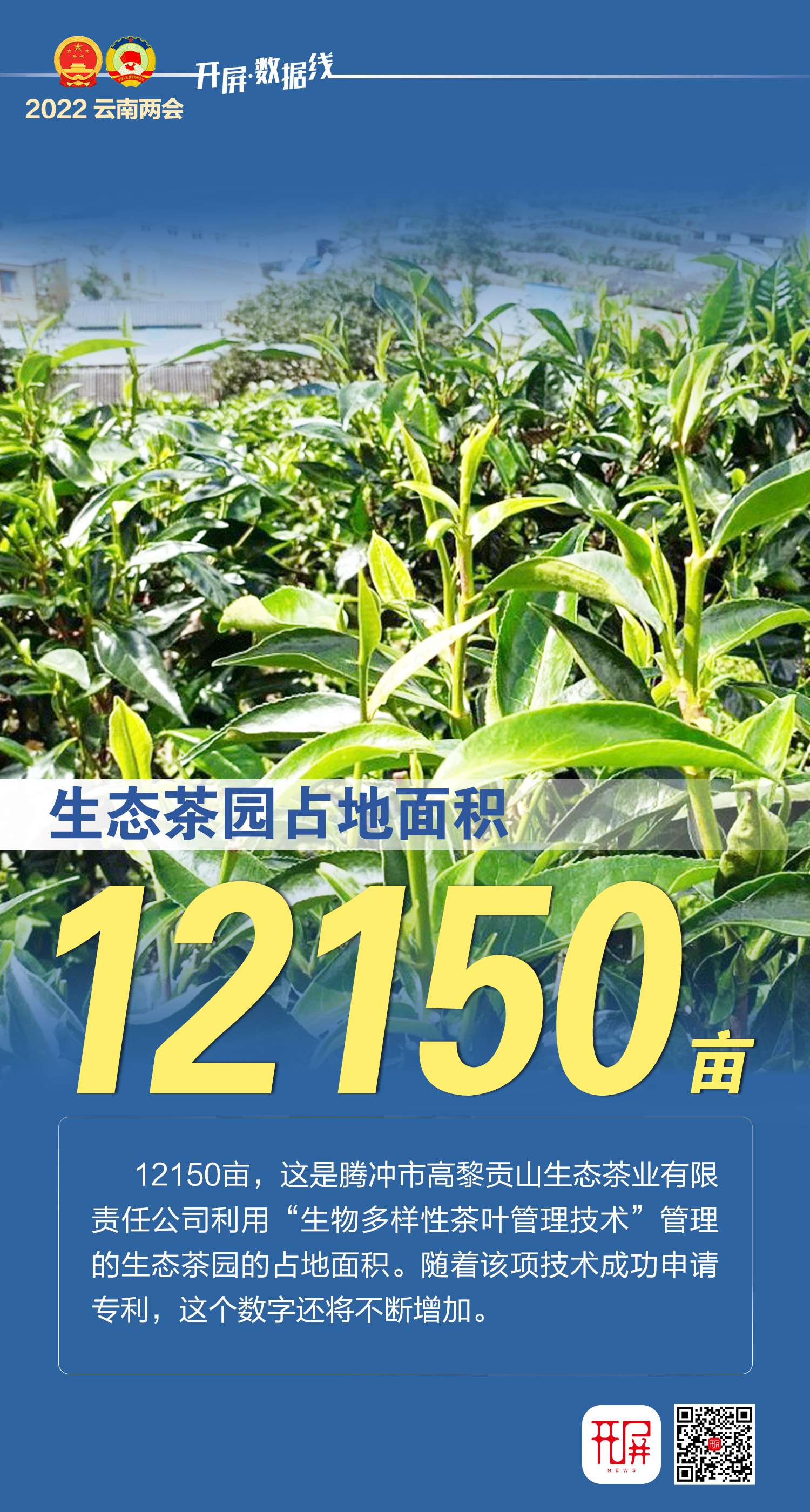 开屏数据线 | 8组数据背后的云南故事