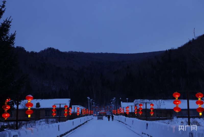 【开局十四五】吉林:沃土黄金带提质稳粮仓 冰雪风光电振兴新引擎