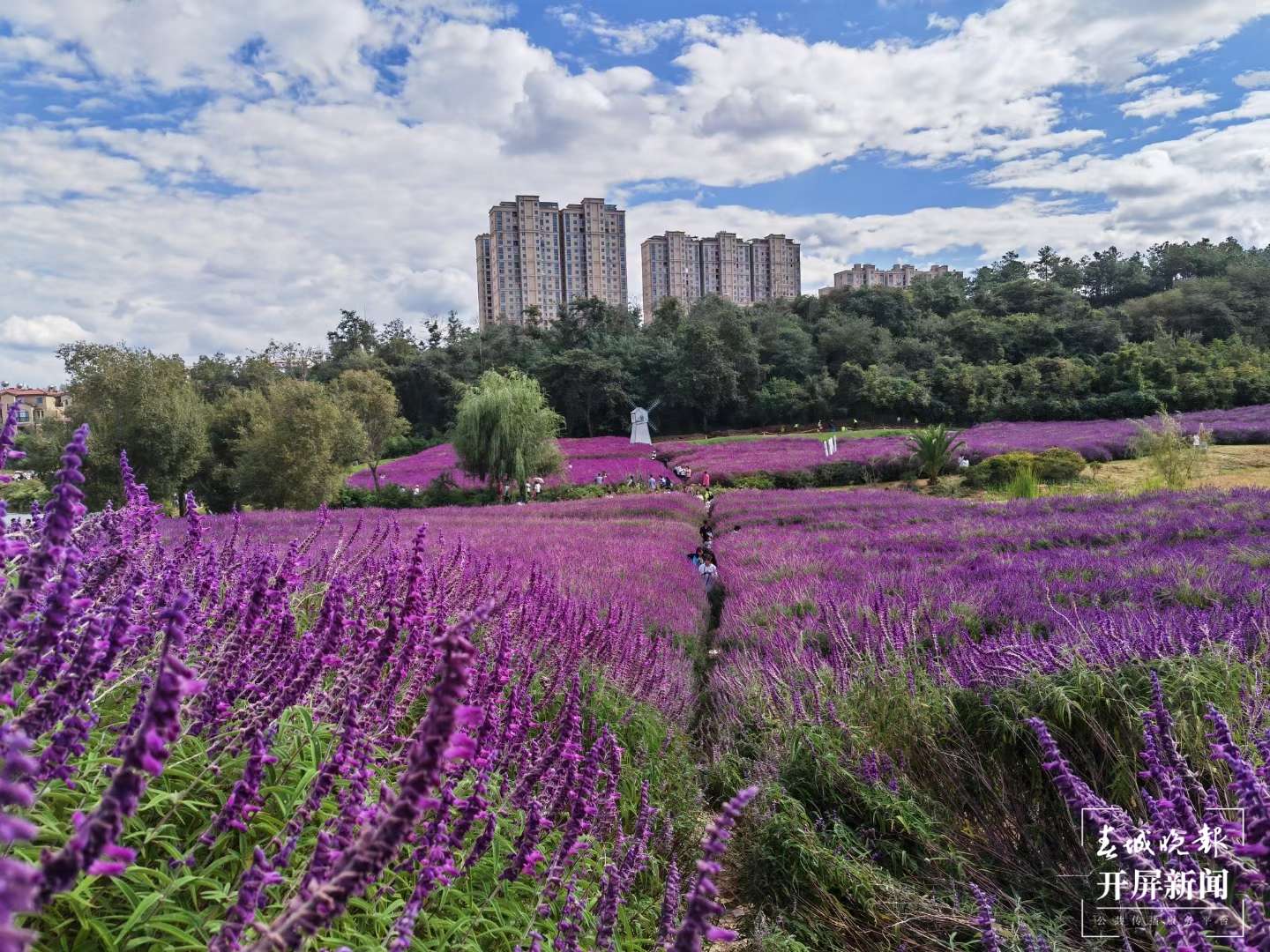 曲靖麒麟区景区（开屏新闻记者 蒋琼波 通讯员 李丽 摄）
