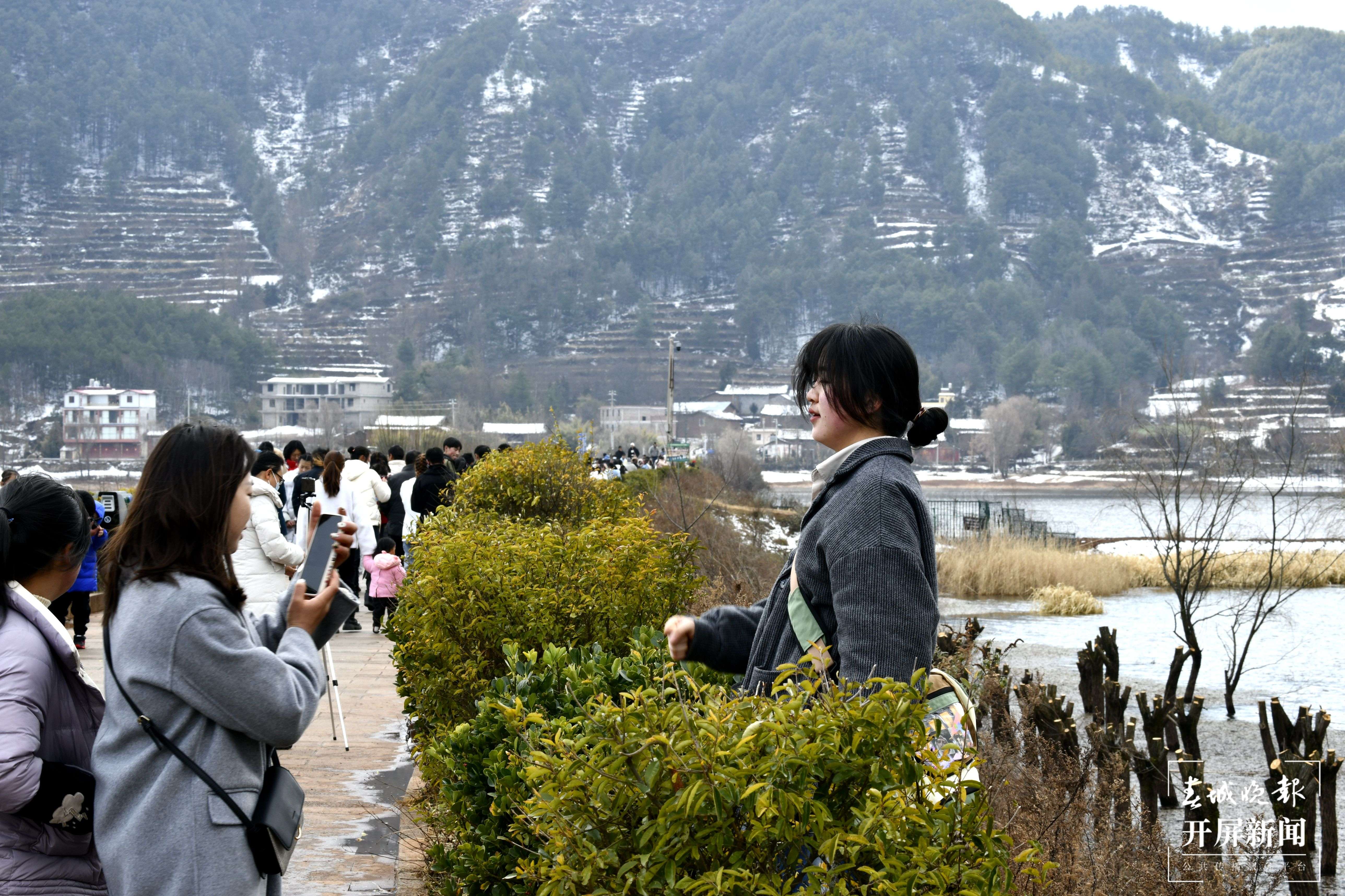 曲靖会泽黑颈鹤(开屏新闻记者 蒋琼波 通讯员 袁嵘 代红炀 摄)