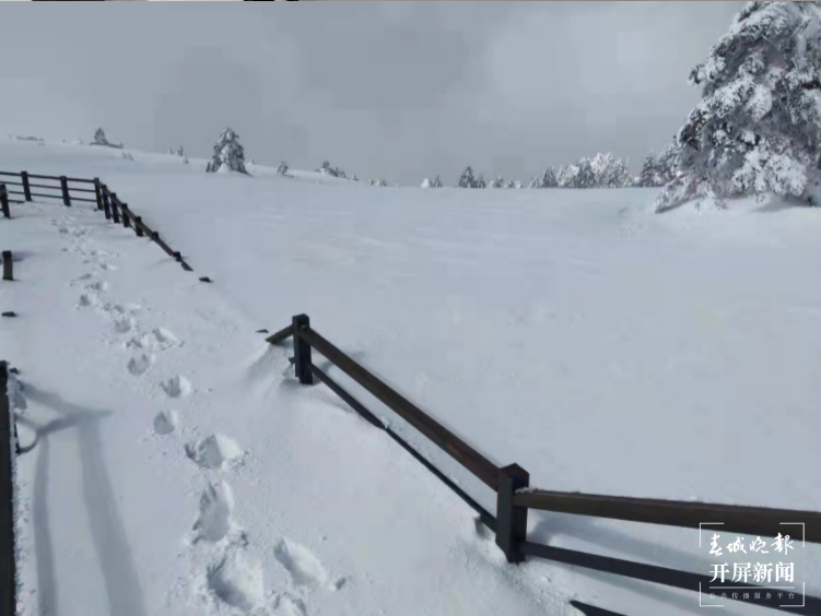 昆明轿子雪山景区全面开展除雪除冰工作（开屏新闻记者 曹婕 通讯员 李贵林 摄）