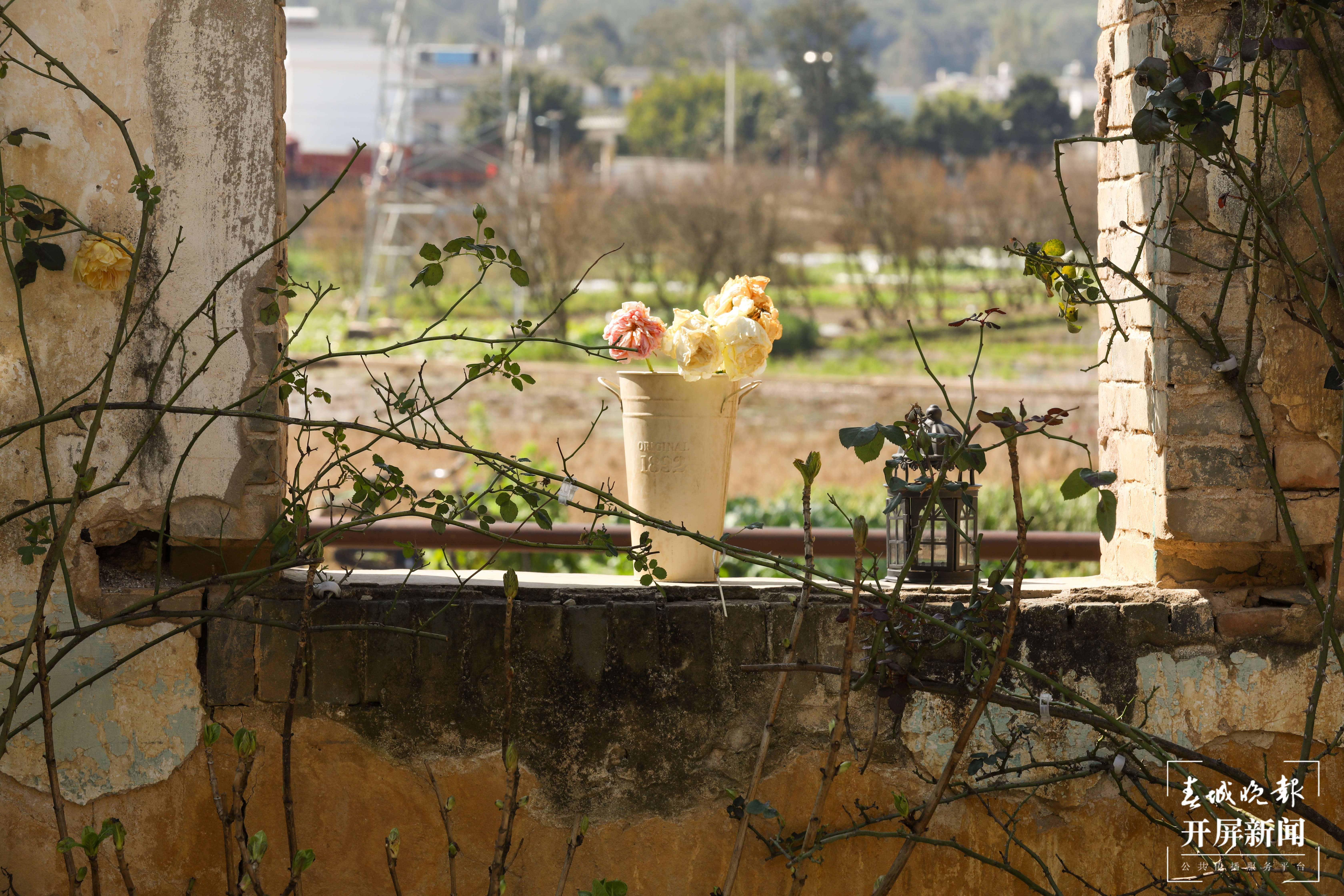 【最美乡愁话建水】乡会：开启拥抱田野的一种方式