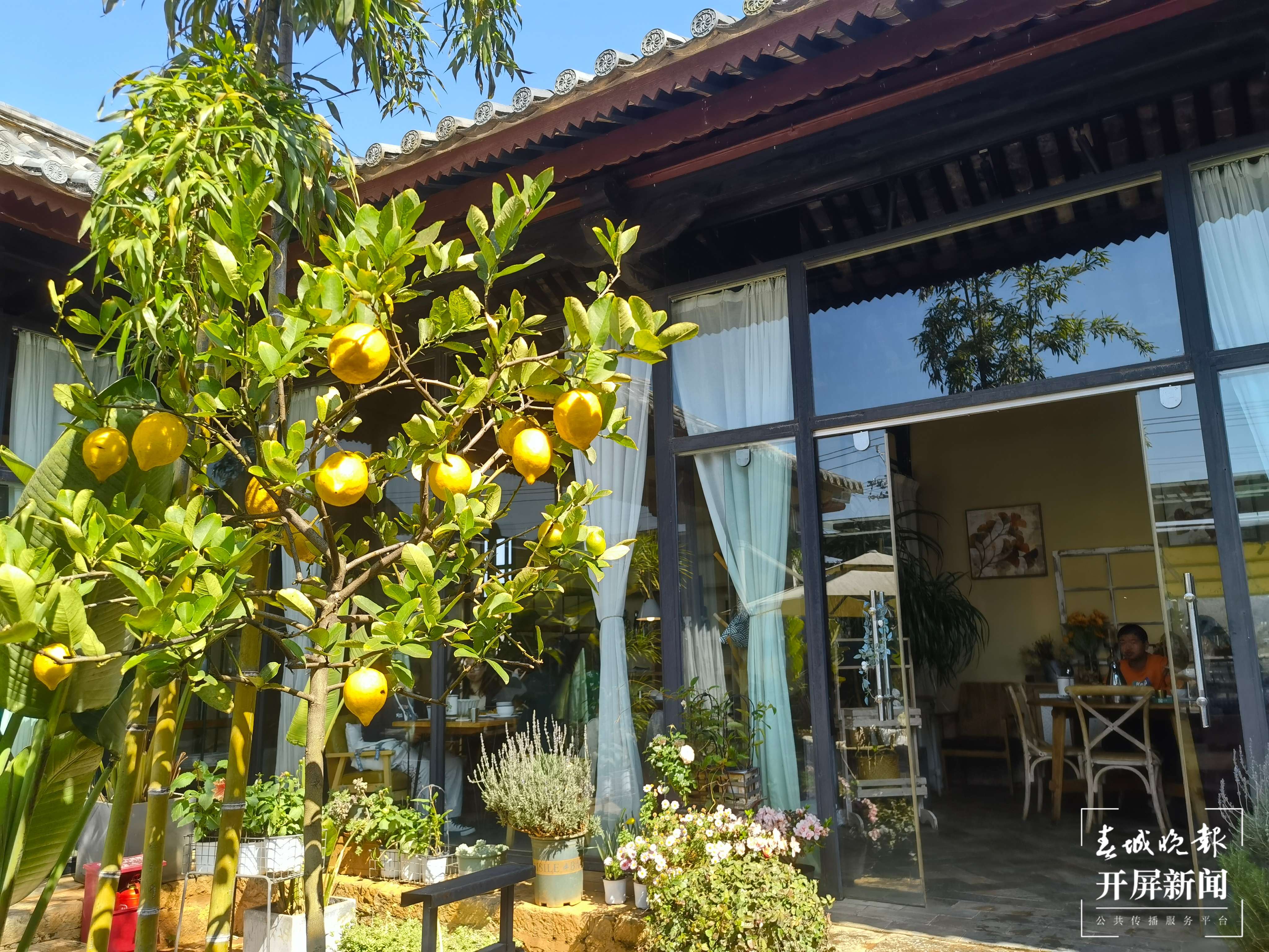 【最美乡愁话建水】“泸江烟柳” 滋润建水的乡愁记忆