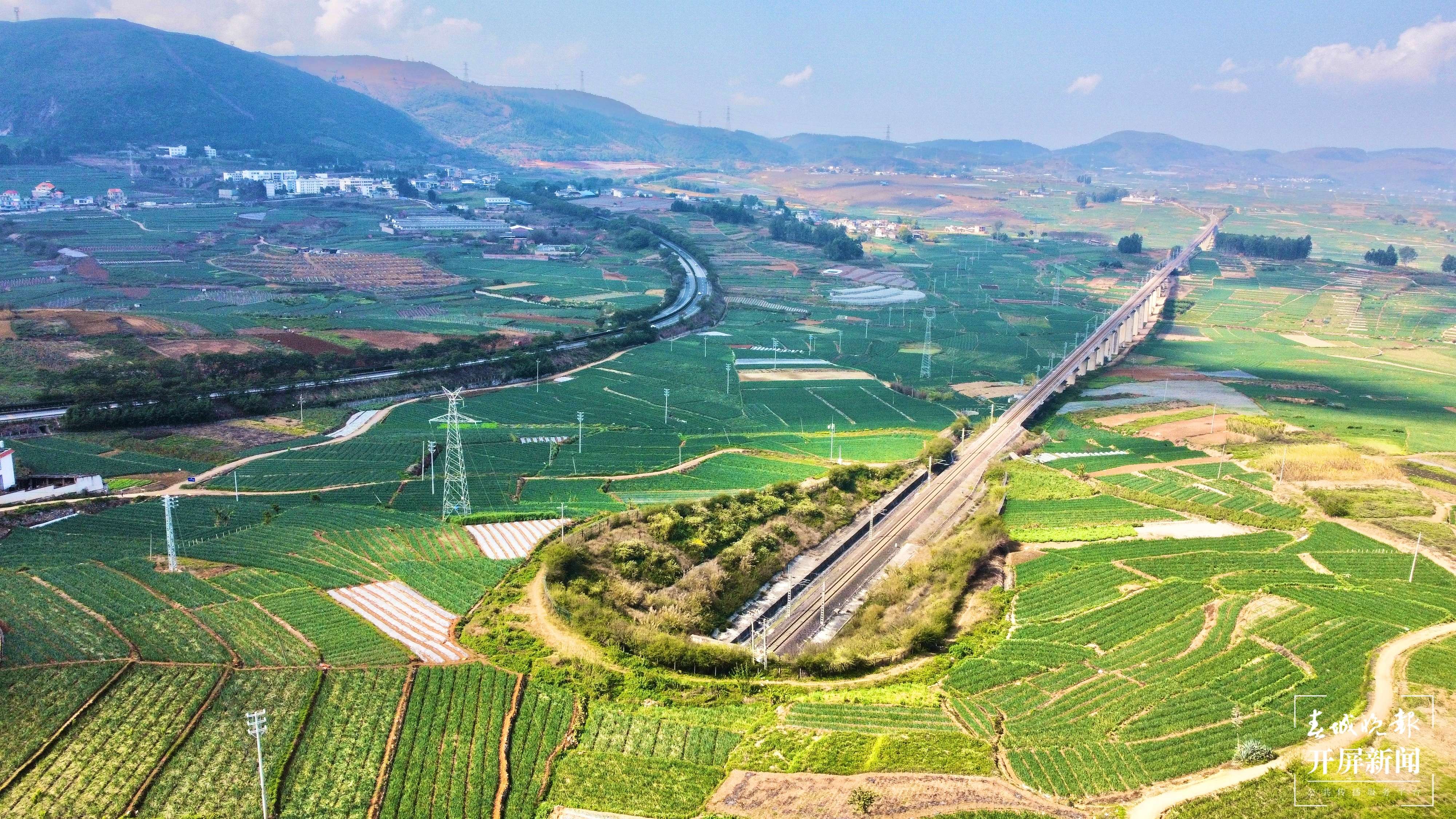 【最美乡愁话建水】面甸洋葱辣 村民日子甜