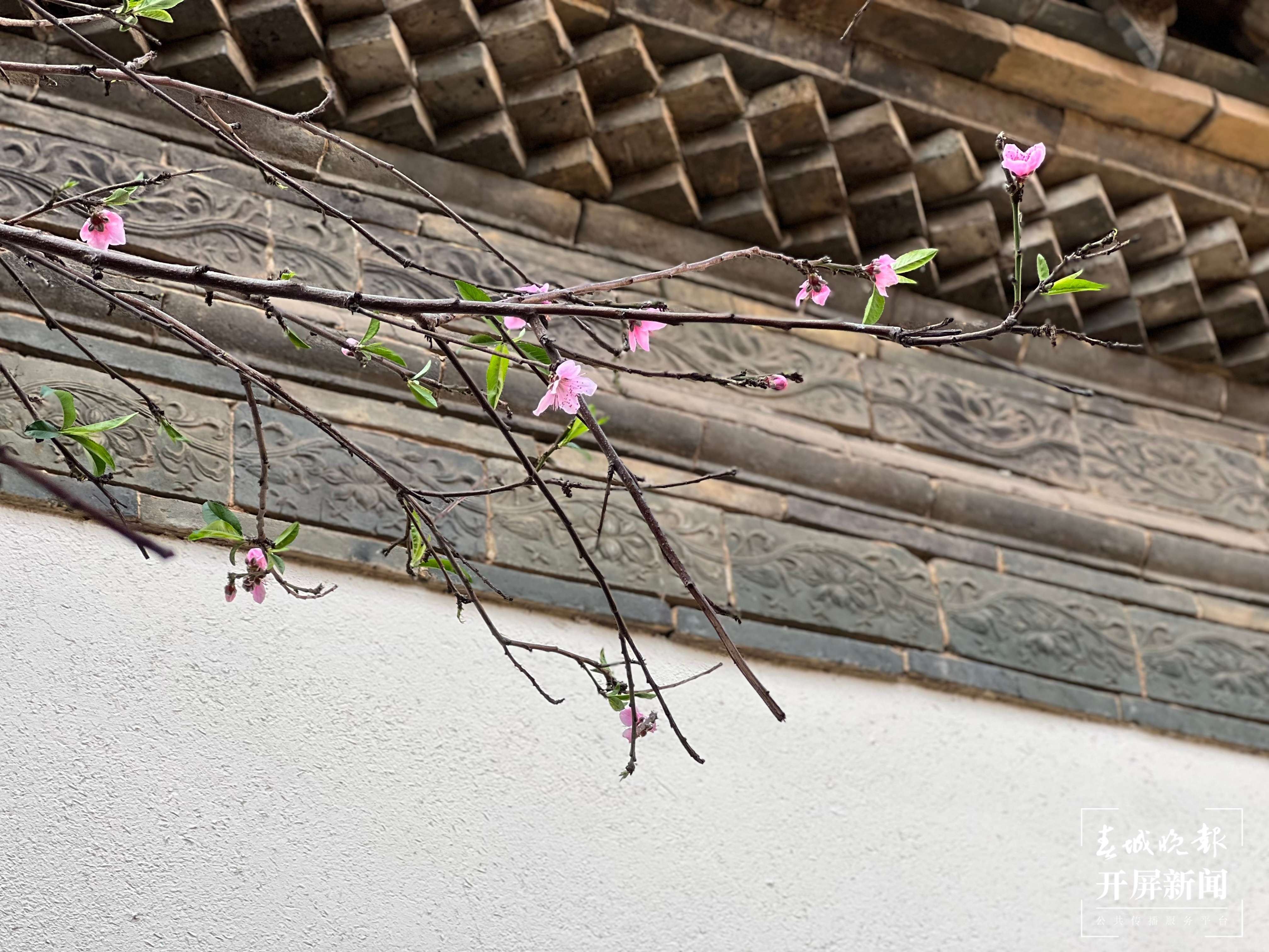 【最美乡愁话建水】 于坚：“生活不在别处，生活在建水”