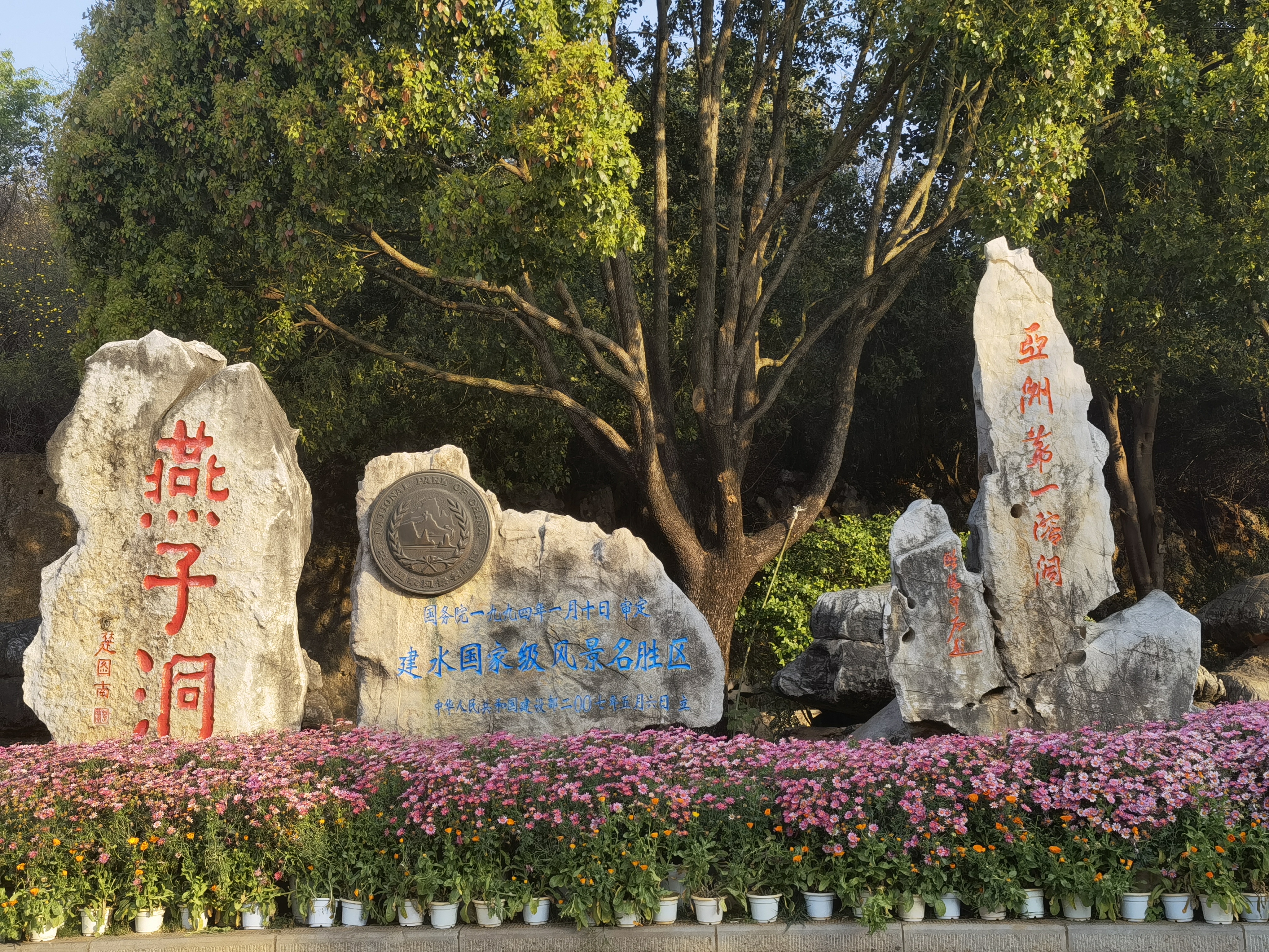 【最美乡愁话建水】建水燕子洞：白腰雨燕的幸福窝