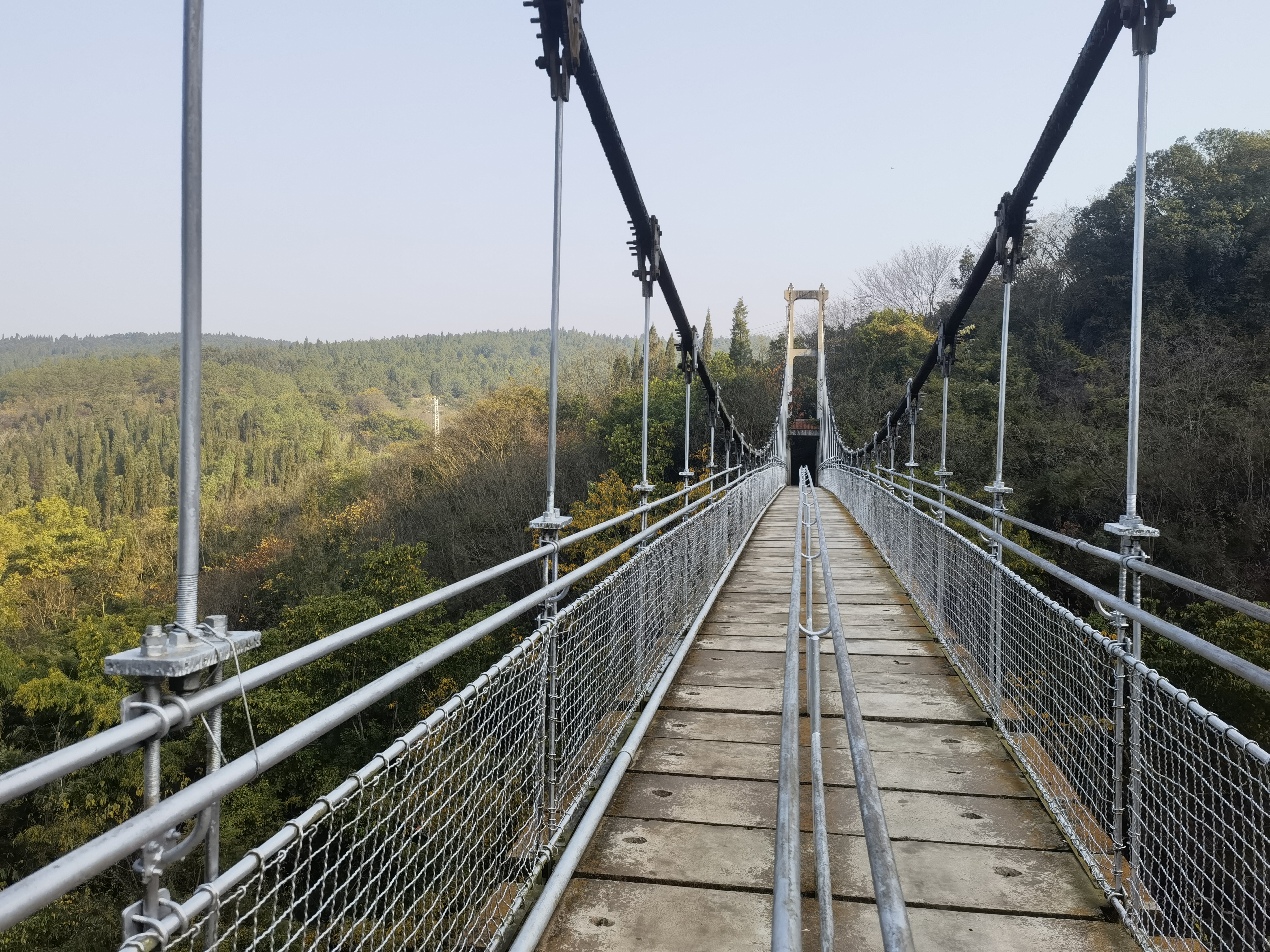 【最美乡愁话建水】建水燕子洞：白腰雨燕的幸福窝