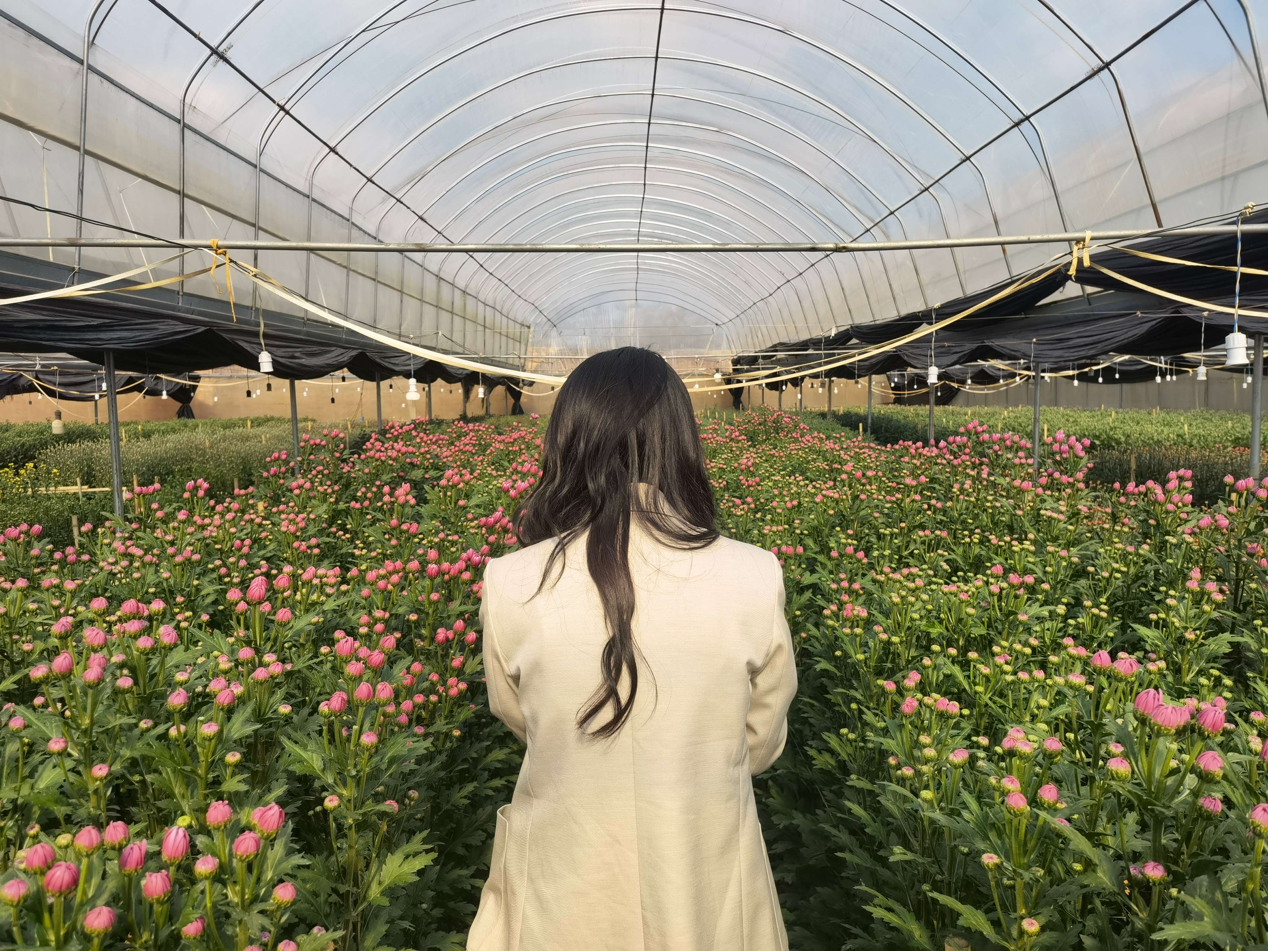 【最美乡愁话建水】建水南庄镇：开拓产业致富新路子