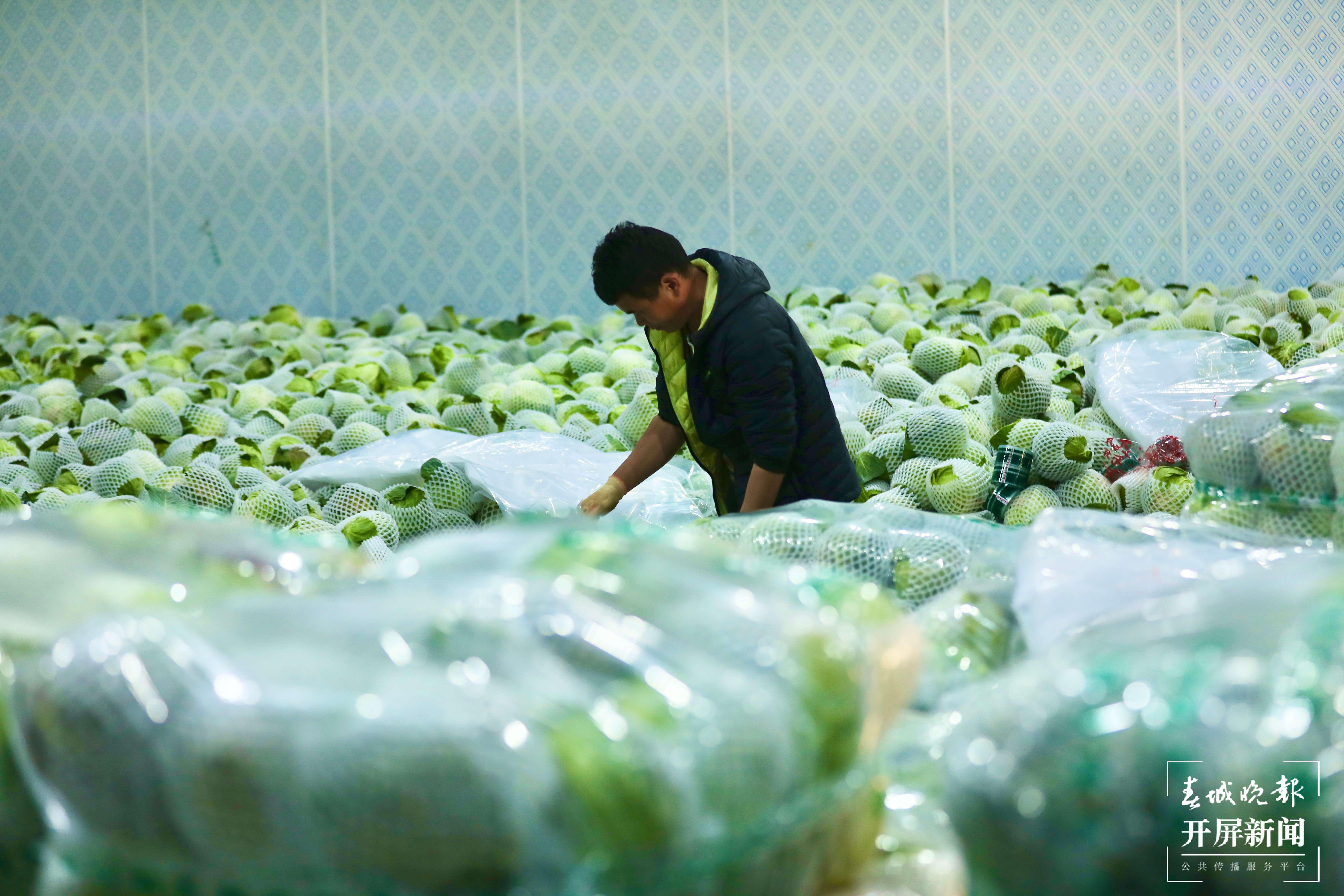 【最美乡愁话建水】官厅镇：插上乡村振兴翅膀的“云上”彝乡