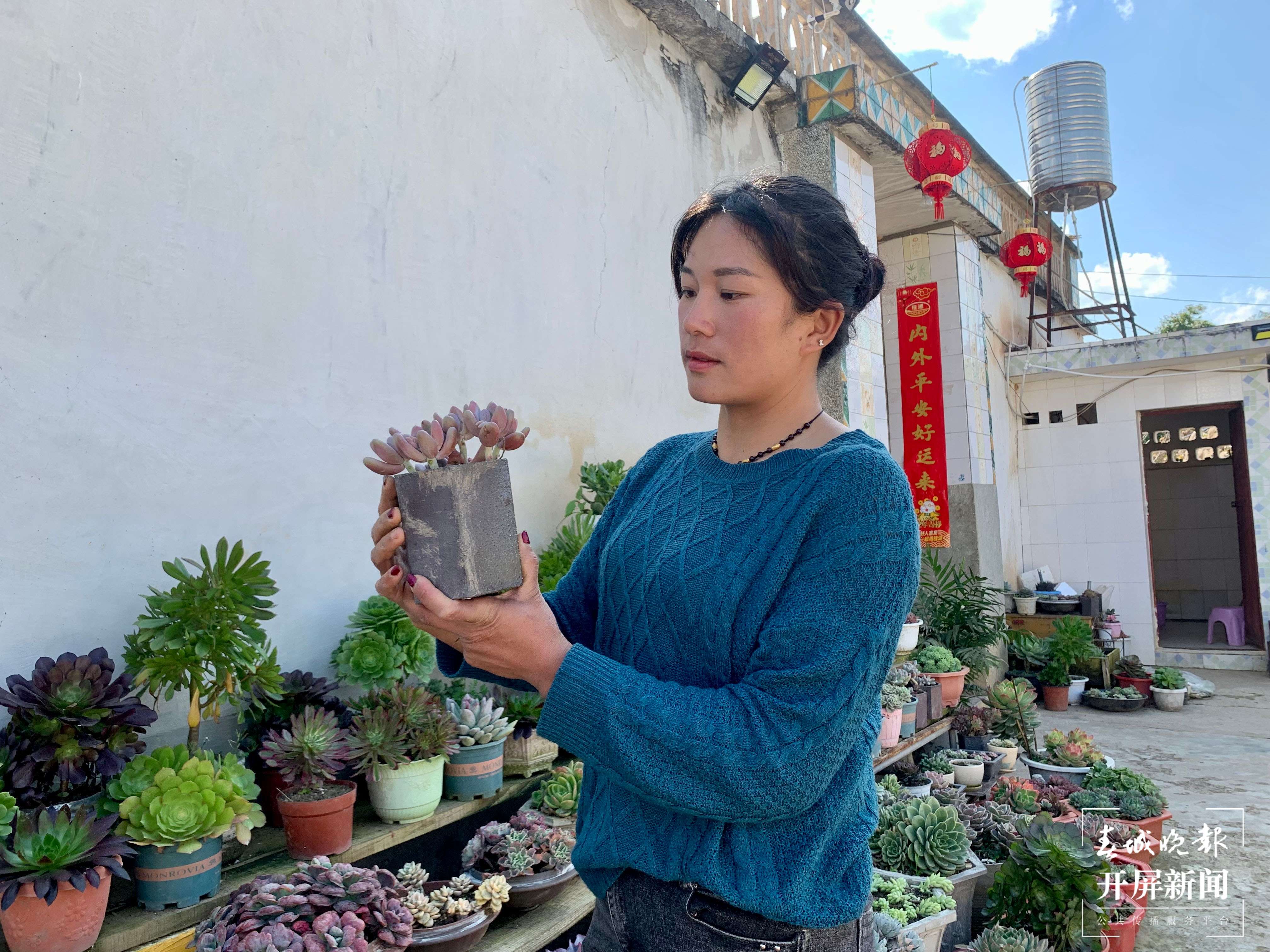 以多肉为媒 共享美丽生活6.jpg