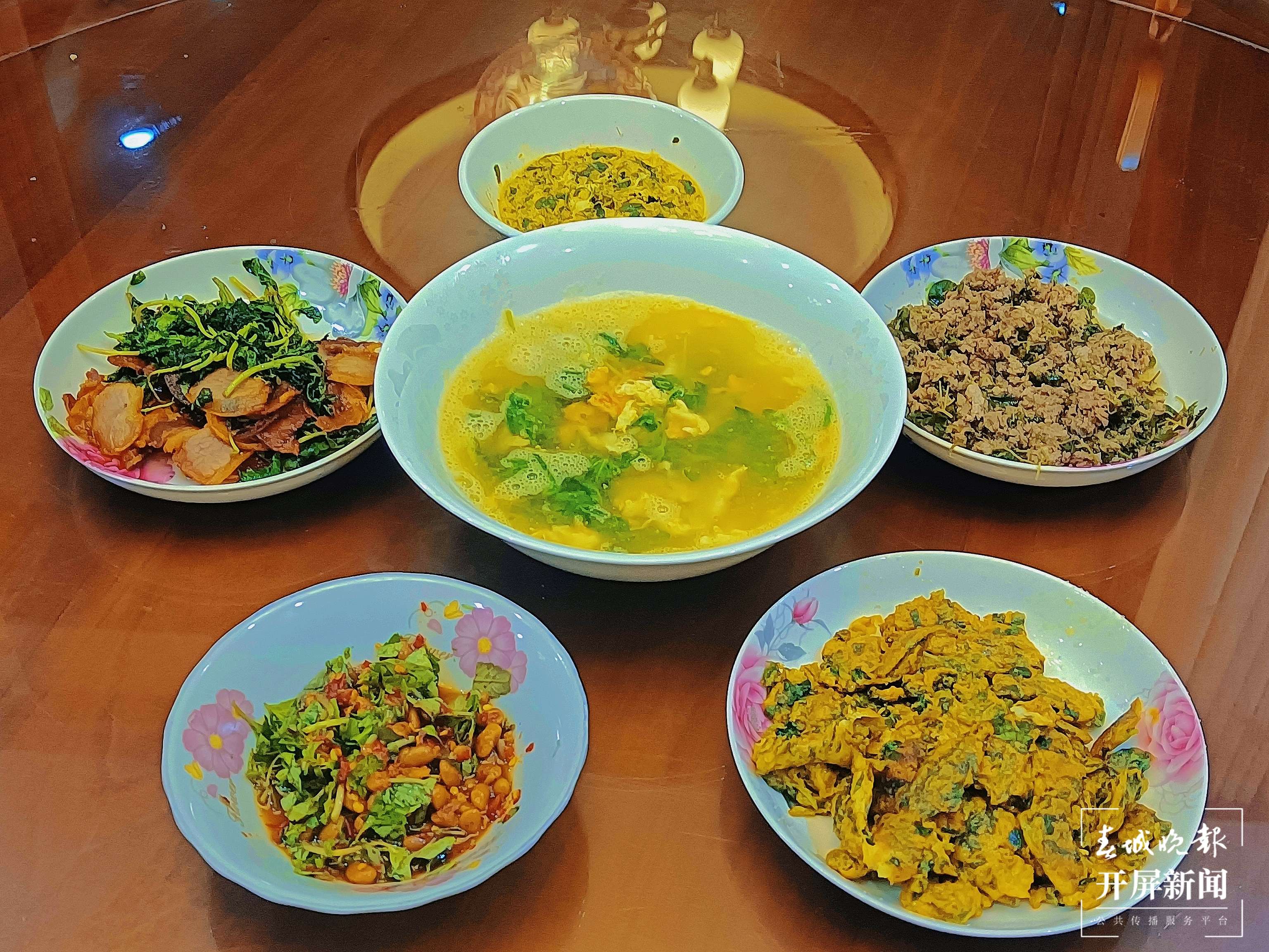 【吃“春”正当时】施甸：香菜（开屏新闻记者 崔敏 通讯员 杨丽娟 摄）