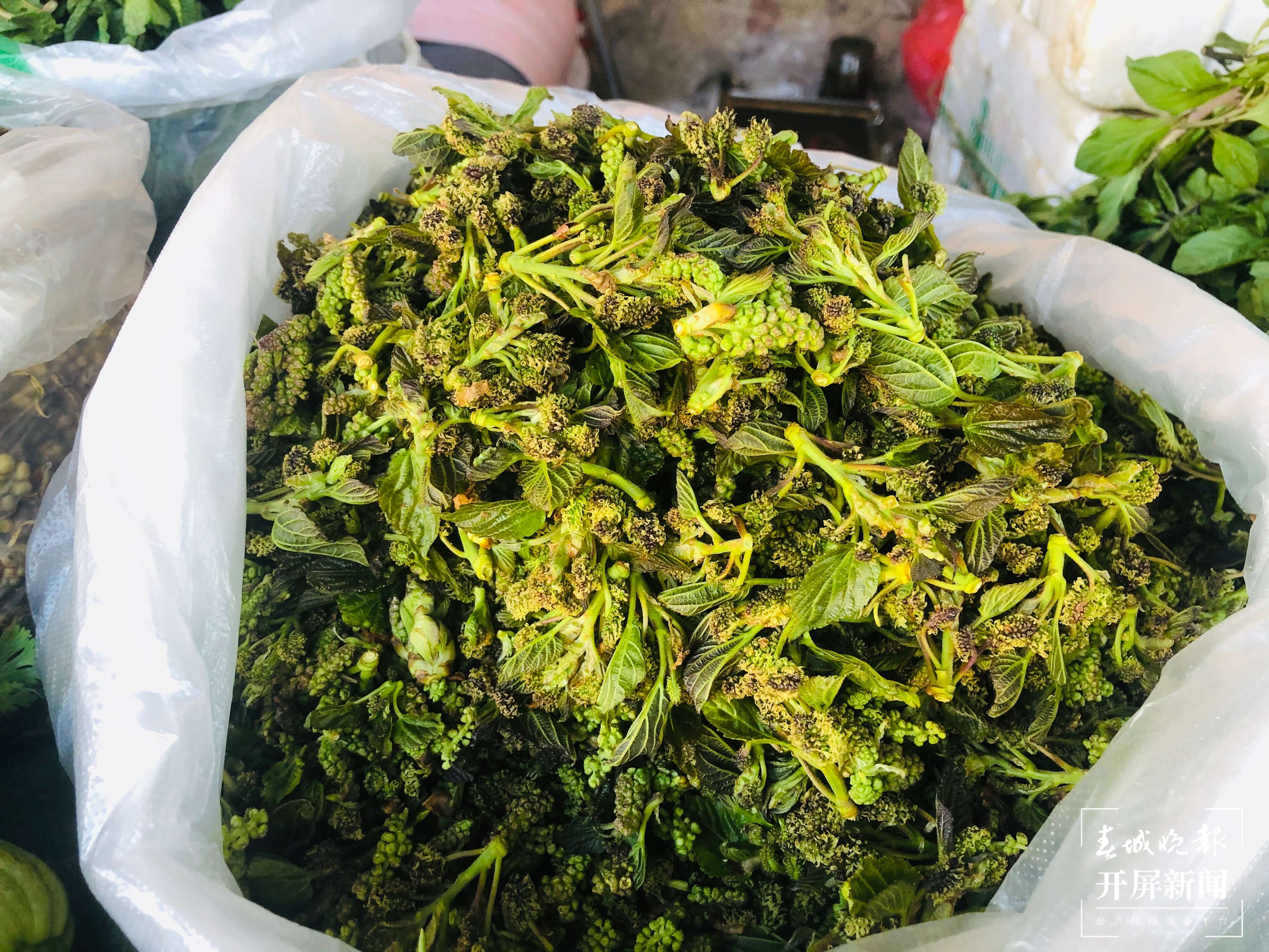 春暖花开，少量“春菜”陆续现身 曲靖人自由“吃春”要到3月（蒋琼波 摄）