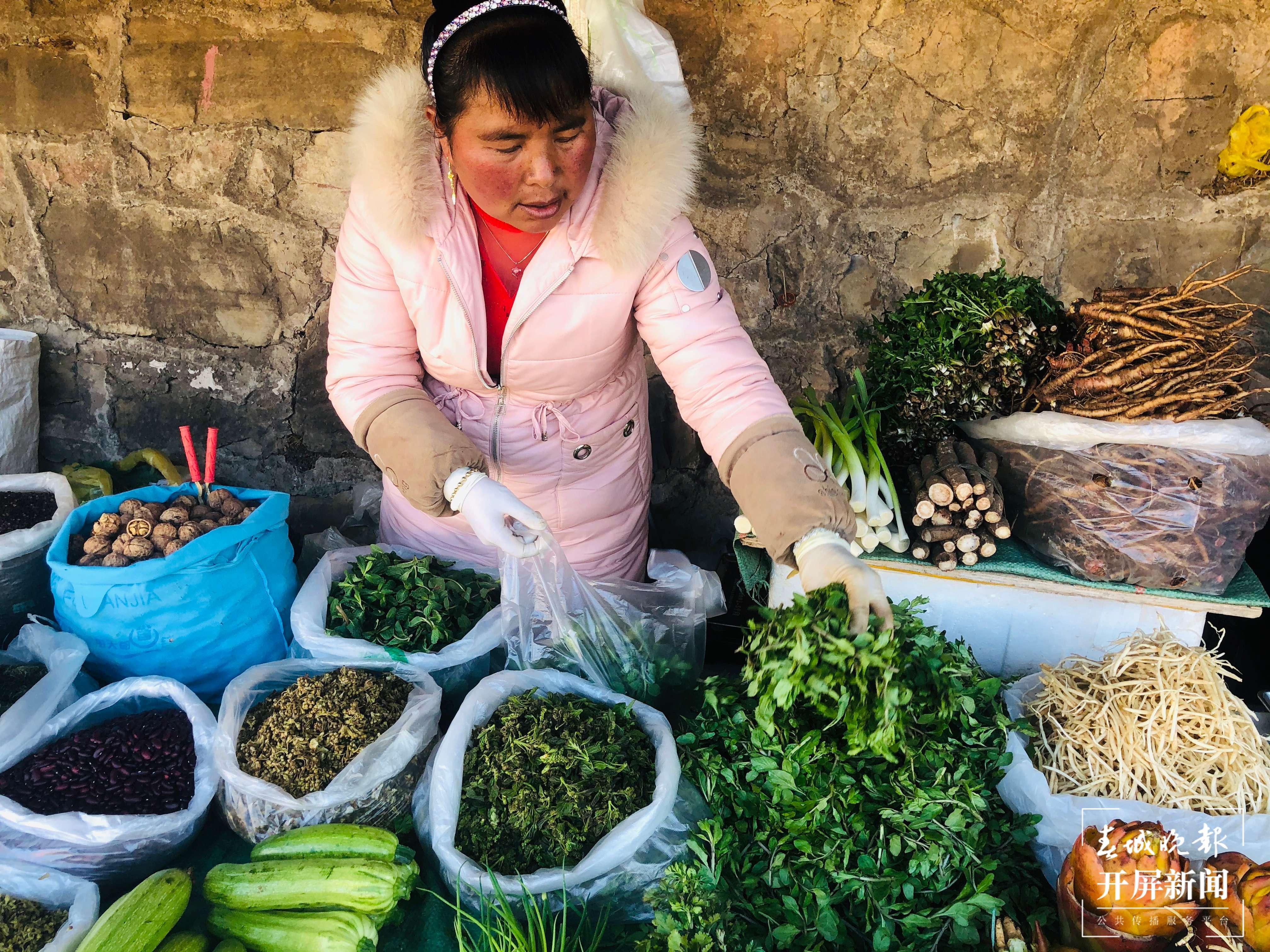 春暖花开，少量“春菜”陆续现身 曲靖人自由“吃春”要到3月（蒋琼波 摄）