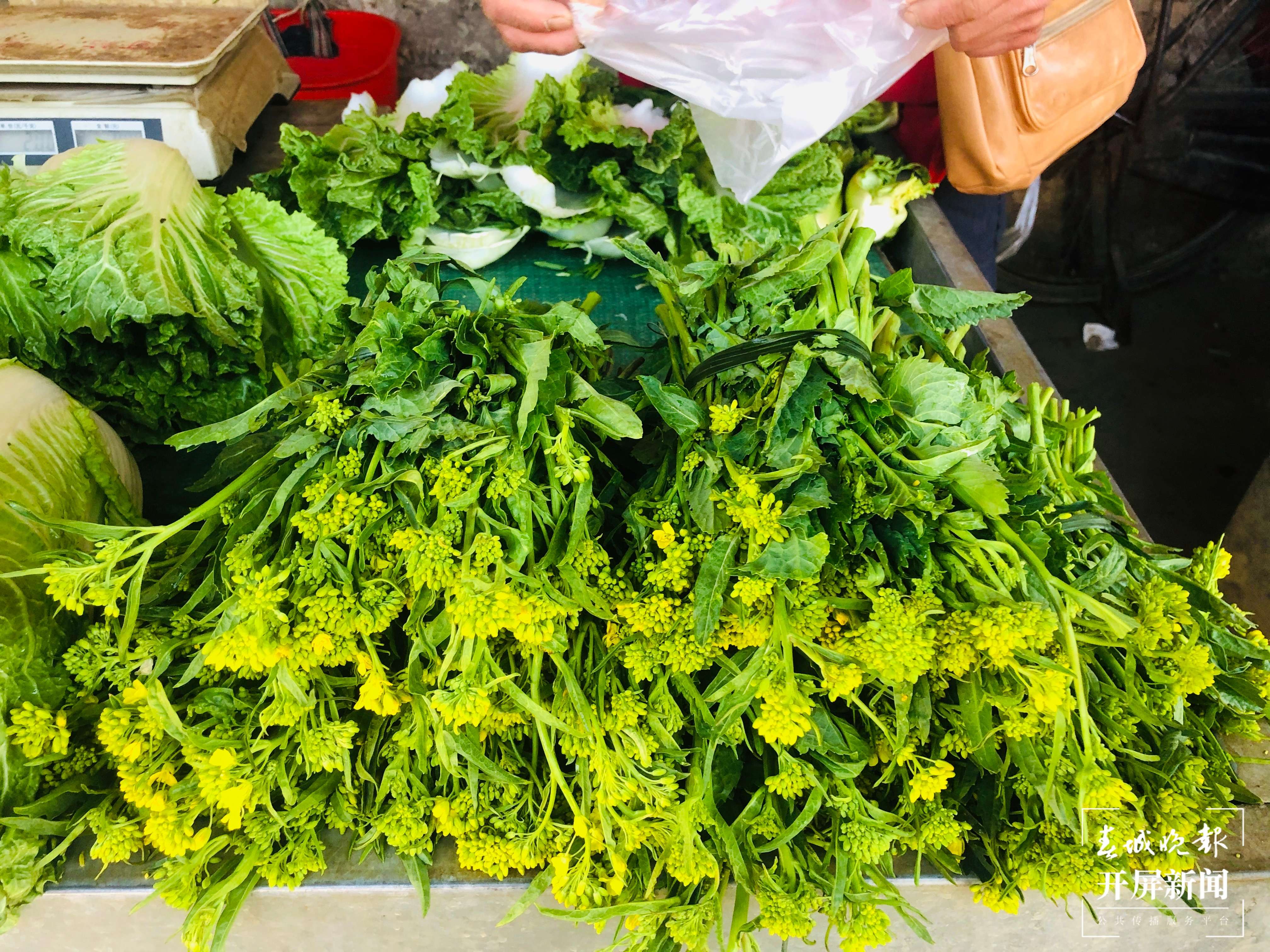 春暖花开，少量“春菜”陆续现身 曲靖人自由“吃春”要到3月（蒋琼波 摄）