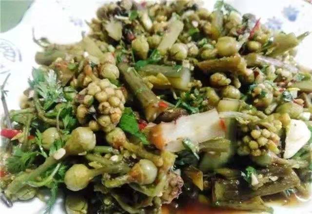 春日来腾冲撷一把清香的野菜 给你满口春天的味道！（崔敏 通讯员 邵宗成 寸待美 陈萍 摄）