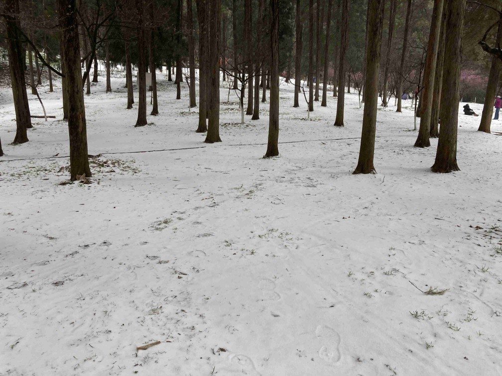 昆明郊野公园临时关闭