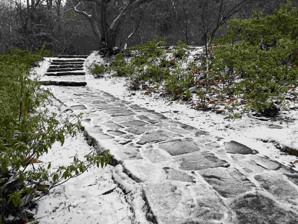 昆明郊野公园临时关闭