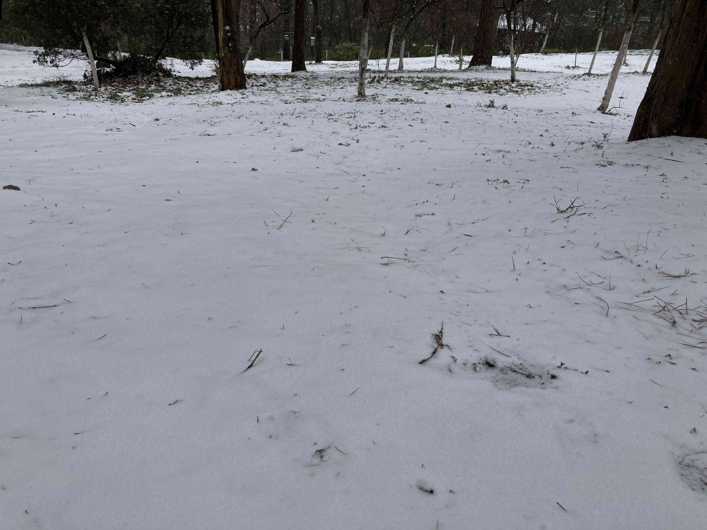 昆明郊野公园临时关闭